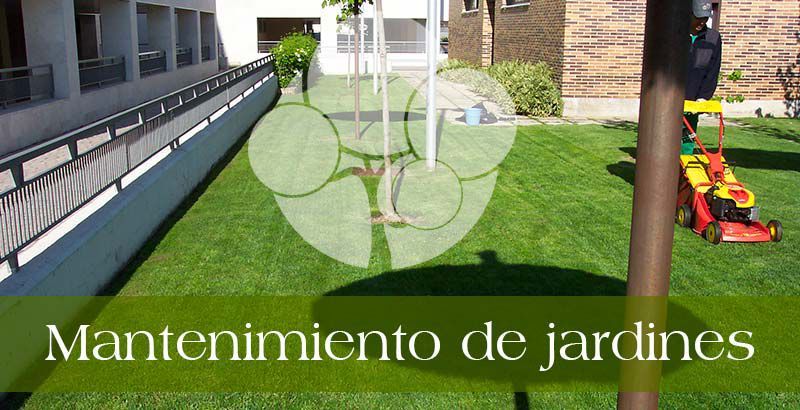 empresa-de-jardinería-en-Madrid
