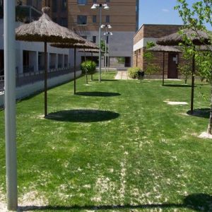 empresas de jardinería en Madrid5