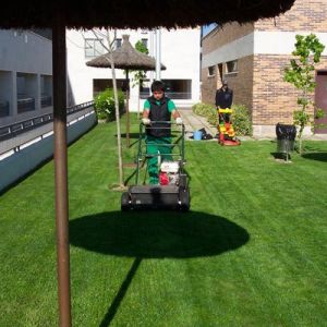 empresas de jardinería en Madrid3