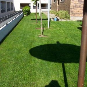 empresas de jardinería en Madrid6
