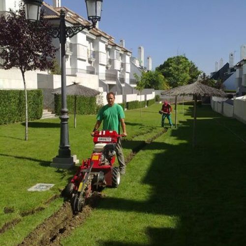 empresas de jardinería en Madrid8