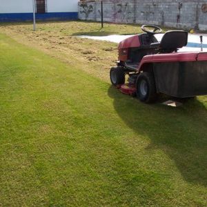 empresas de jardinería en Madrid2