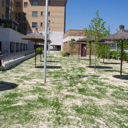 empresas de jardinería en Madrid1