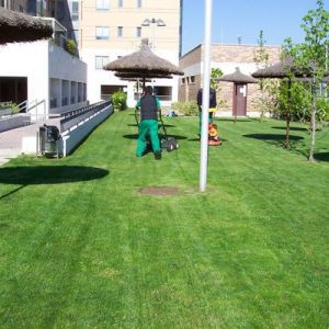 empresas de jardinería en Madrid4