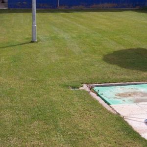 empresas de jardinería en Madrid7