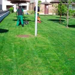 Resembrados de césped Servicios de Jardinería en Madrid