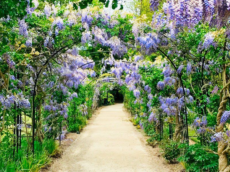 Personalizamos tu jardín en el norte de Madrid