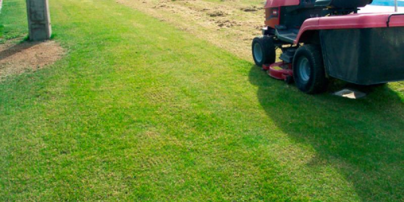 Siega de jardines con Jardinería López de la Rica