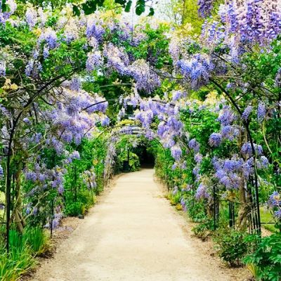 Personalizamos tu jardín en el norte de Madrid