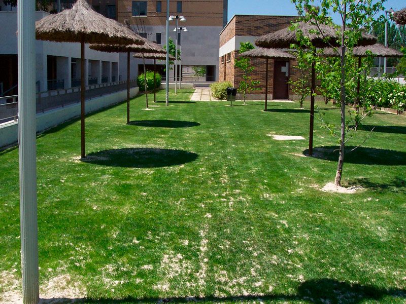 Recebo de césped Jardinería López de la Rica en Madrid