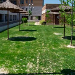 Recebo de césped Jardinería López de la Rica en Madrid